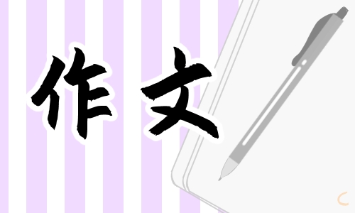 照片里的故事初一满分作文(10篇)